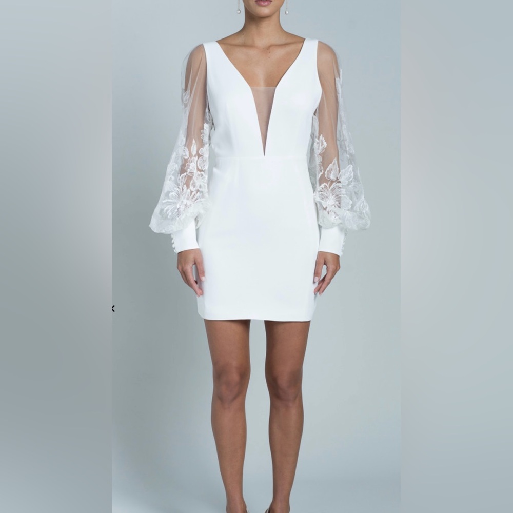 Rime Arodaky Lisa dress with embroidered sleeves